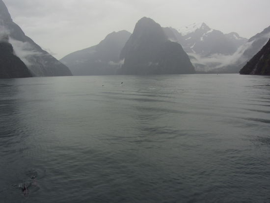 Der Milford Sound im, ähm, Regen..