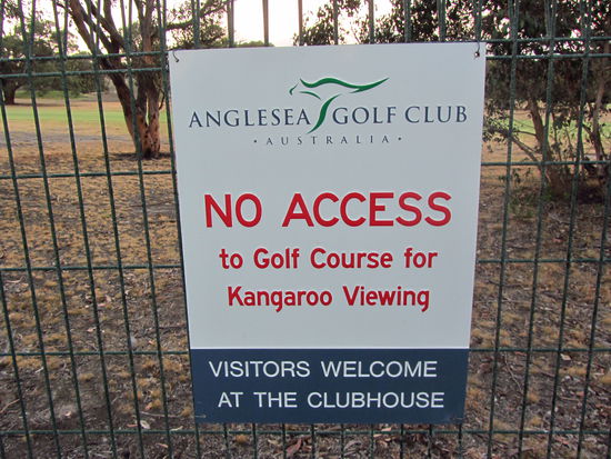 Darum blieben wir auch draussen