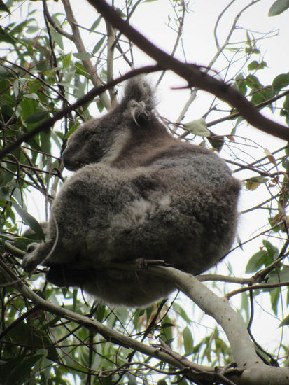 I'm only sleeping.....