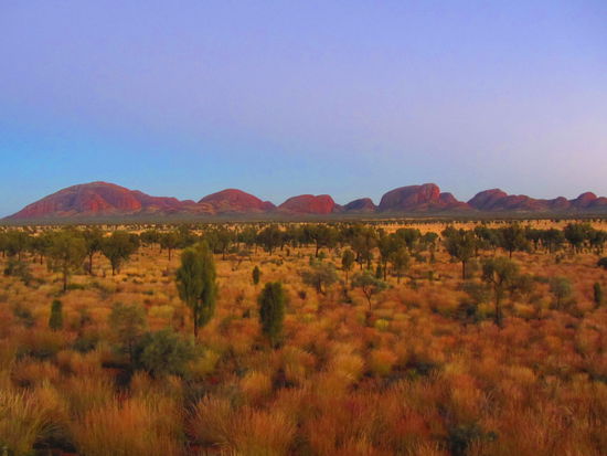 Kata Tjuta (Olgas) in der Morgensonne