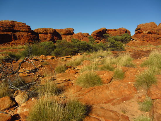 Unterwegs beim Kings Canyon