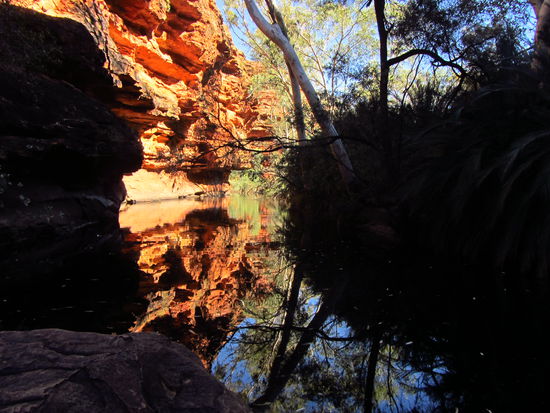 In the Garden of Eden