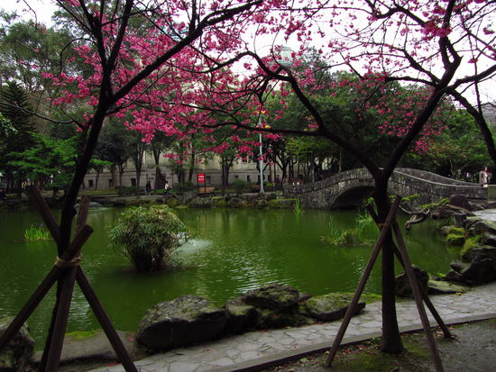 Der Friedenspark, ganz in der Nähe unseres Hotels