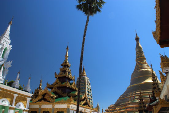Der Stupa der Shwedagon Pagode: Gesamtgewicht 149 Tonnen, davon 9,75 Tonnen pures Gold. Die oberste Krönung ist ein 76-karätiger Diamant! Wäre ein tolles Souvenier gewesen....