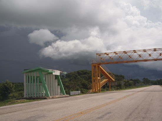 Unterwegs Richtung Chetumal, Chaac bleibt uns auf den Fersen...
Mitten im Nichts hat es immer wieder Bushaltestellen und Fussgängerüberführungen