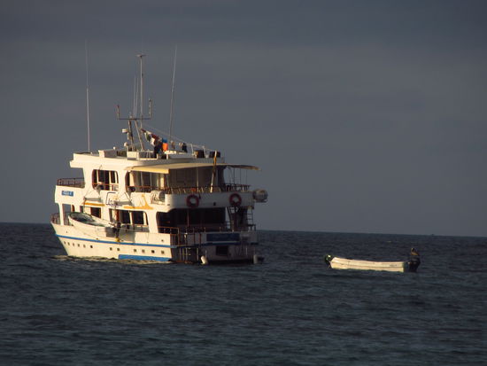 Die Angelito, ein tolles Schiff!