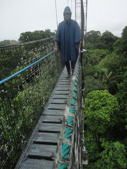 I'm walking over trees..... etwas verkrampft, aber immerhin...