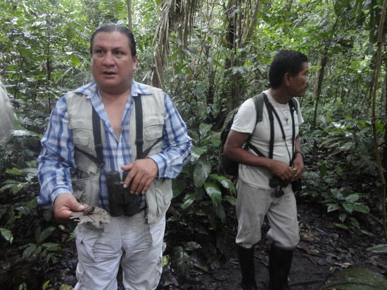 Während Luis den Frosch auf dem Blatt erklärt, späht Adelmo schon nach weiteren Attraktionen aus