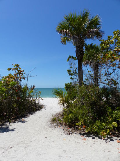 Barefoot Beach Preserve