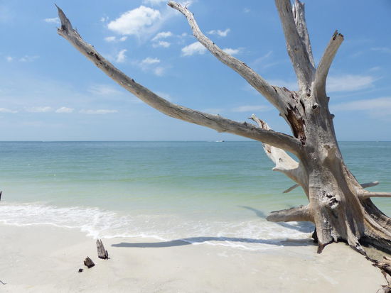 Baumruinen Lovers Key State Park