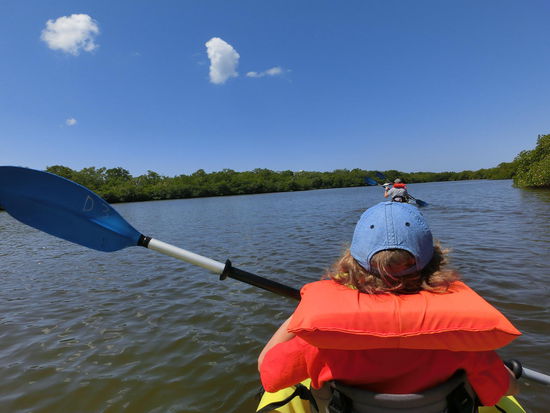 Kayaktour auf dem Cocohatchee River, Naples