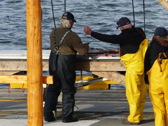 Auf dem Pier der Painter´s Lodge