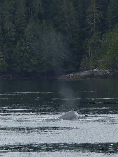 Die lang ersehnte Fontäne