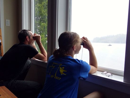 Schwarzbärensichtung