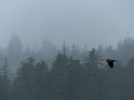 Regenwetter kann auch schön sein