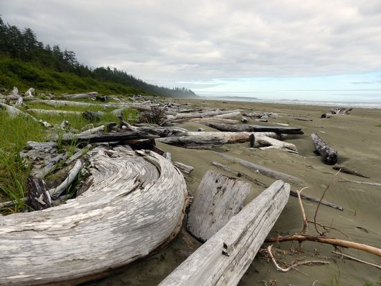 Long Beach Pacific Rim National Park