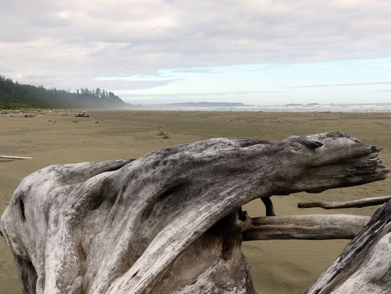 Long Beach Pacific Rim National Park