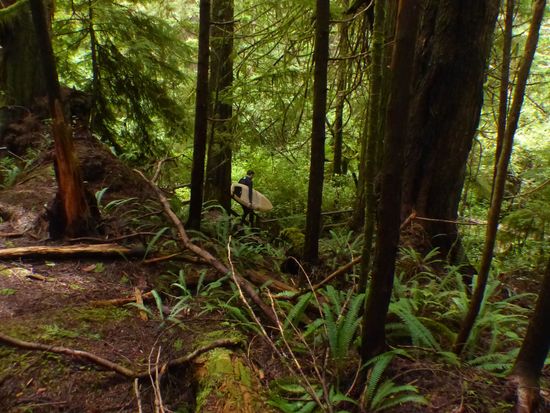 Was hat der denn hier verloren?!