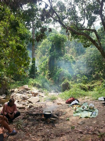 Mittagessen im Dschungel