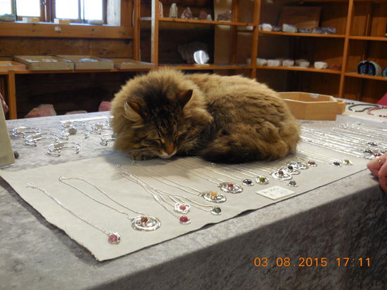 Schmuck Bewacher in Bergen.