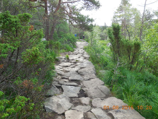 So sah der ganze Weg aus, und nur steil nach oben.