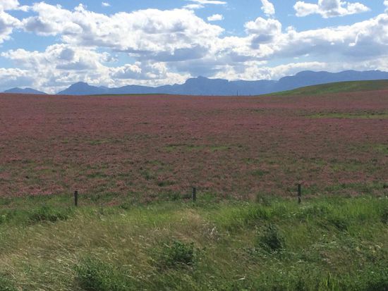 Ist das nicht schön??