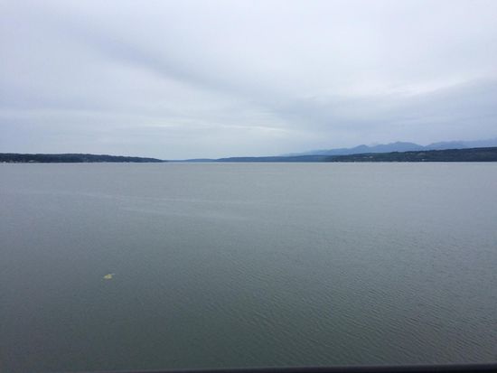 grau, kalt und es nieselt!