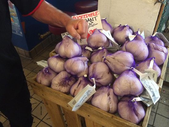 Und war gibt es so selten Spagetti ali e olio??