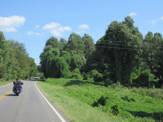 Sieht das nicht traumhaft aus?