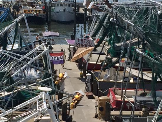 Forrest war schön mit der Jenny raus gefahren 