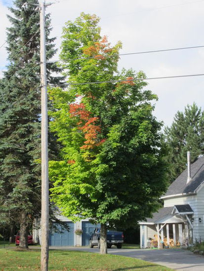 Der erste Hauch von Indian Summer