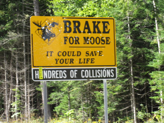 Nicht gerade beruhigend!