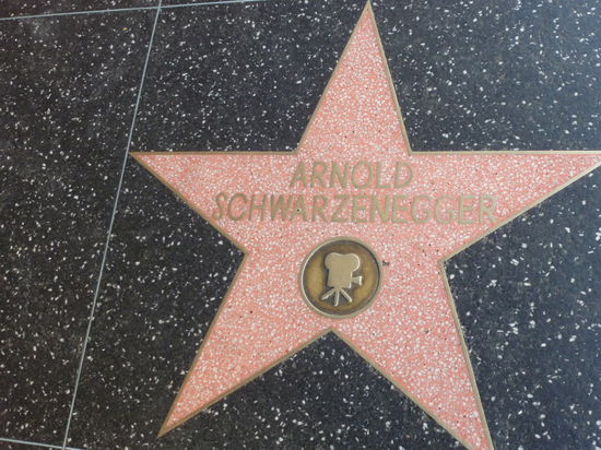 Einer von über 2'500 Sternen