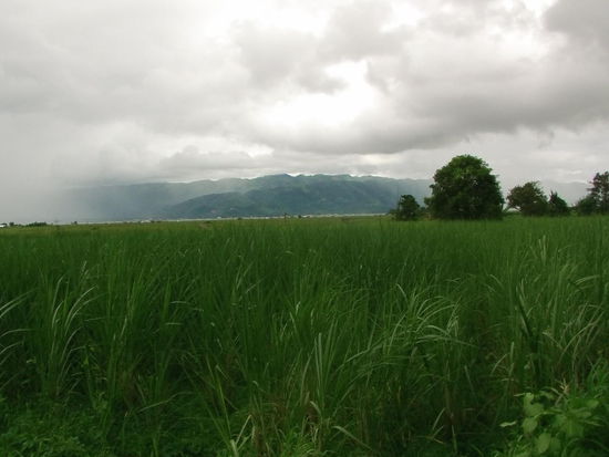 mir ist es zu regnerisch.