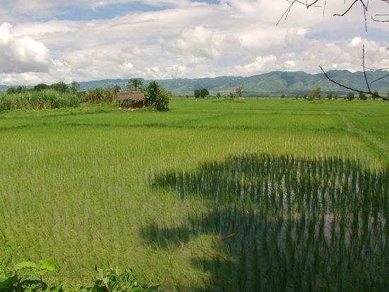Im Tal brennt mittlerweile die Sonne.