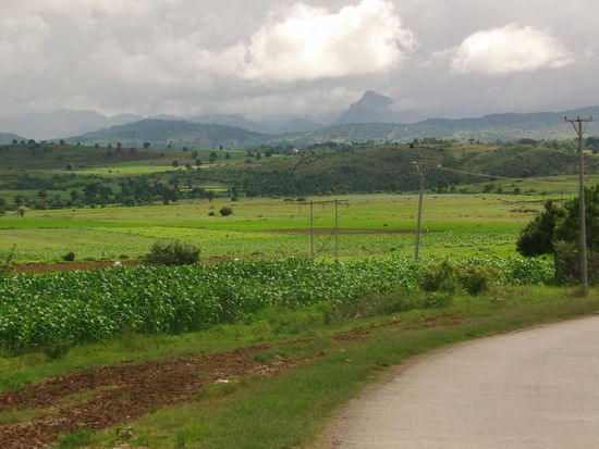 Ich fahre zurück nach Kalaw.