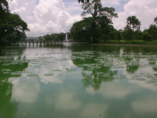 Heute Nachmittag kann ich mir meinen Pass abholen. Ich habe noch Zeit und gehe in den Park.