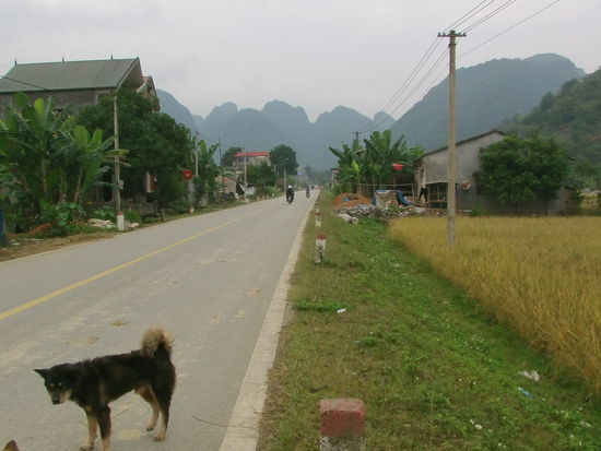 Doch überwiegend wird mit Stein gebaut.