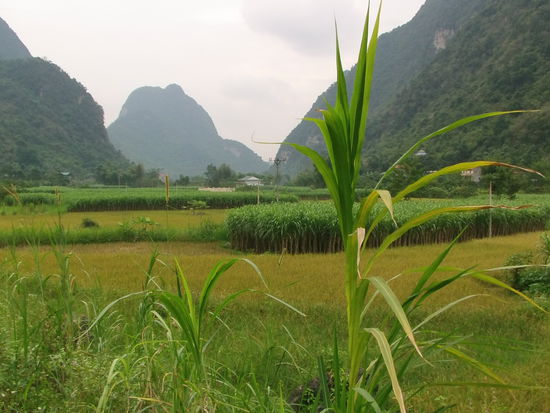 Zurück zu fahre ich mal einen kleinen Umweg über eine Seitenstraße.