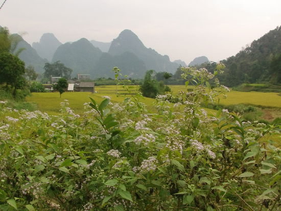 Morgen fahre ich weiter Richtung Westen, wenn es nicht regnet.