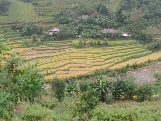 Die Leute sind hier freundlicher und grüßen, die Kinder winken.