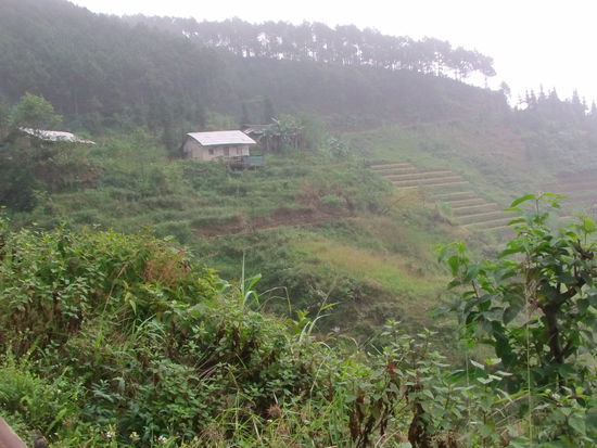 Streckenweise muss ich mit Licht fahren. Dann beträgt die Sichtweite nur 20 m.