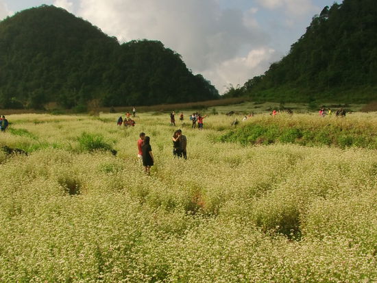 Alle Pärchen sind mit dem schießen von Erinnerungsfotos beschäftigt.