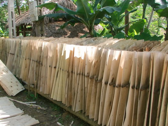 Überall am Straßenrand werden diese Holztafeln getrocknet.