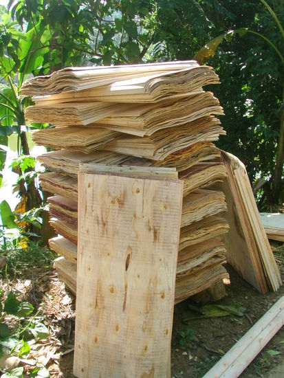 Es liegt ein harziger Geruch in der Luft.