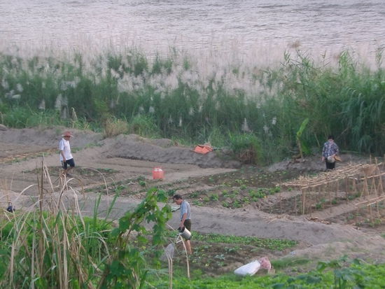 Andere haben ein Beet am Flussufer.