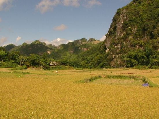 Es war nur eine kurze Strecke, 10 min den Berg hinauf und 10 min wieder herunter.