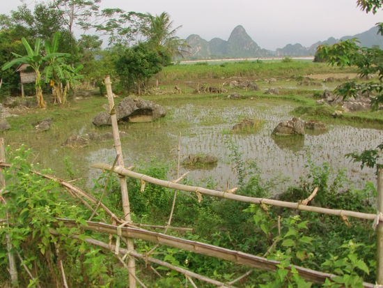 Ich fahre auf kleinen Nebenstraßen und Feldwegen kreuz und quer.