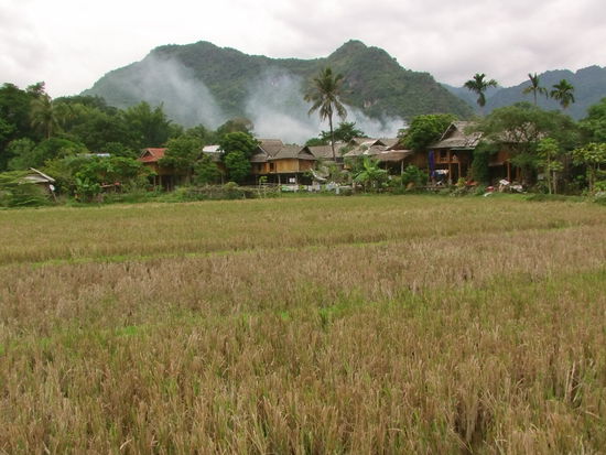 Ja, und dann wird es mir allmählich klar, ich bin in Mai Chau, dem Tal der Thais.