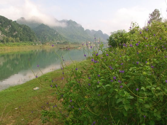 Am nächstem Morgen starte ich eine kleine Rundfahrt. Nichts Großes, mein Hintern braucht mal eine Pause.